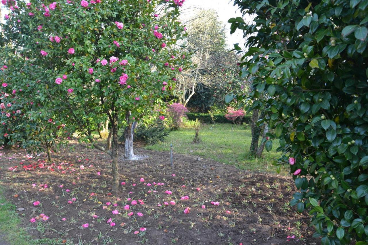 Quinta D'Avo Amelia Bed & Breakfast Alquerubim Екстериор снимка