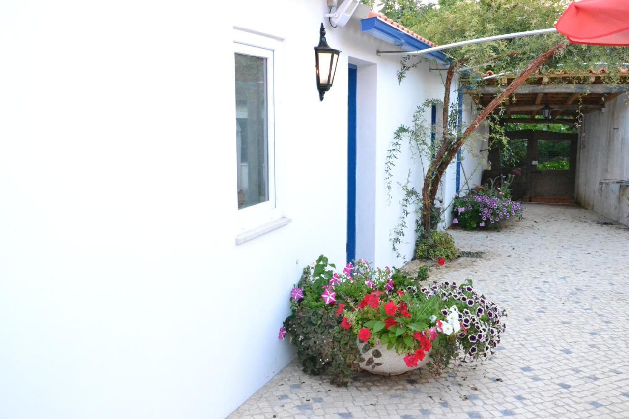 Quinta D'Avo Amelia Bed & Breakfast Alquerubim Екстериор снимка