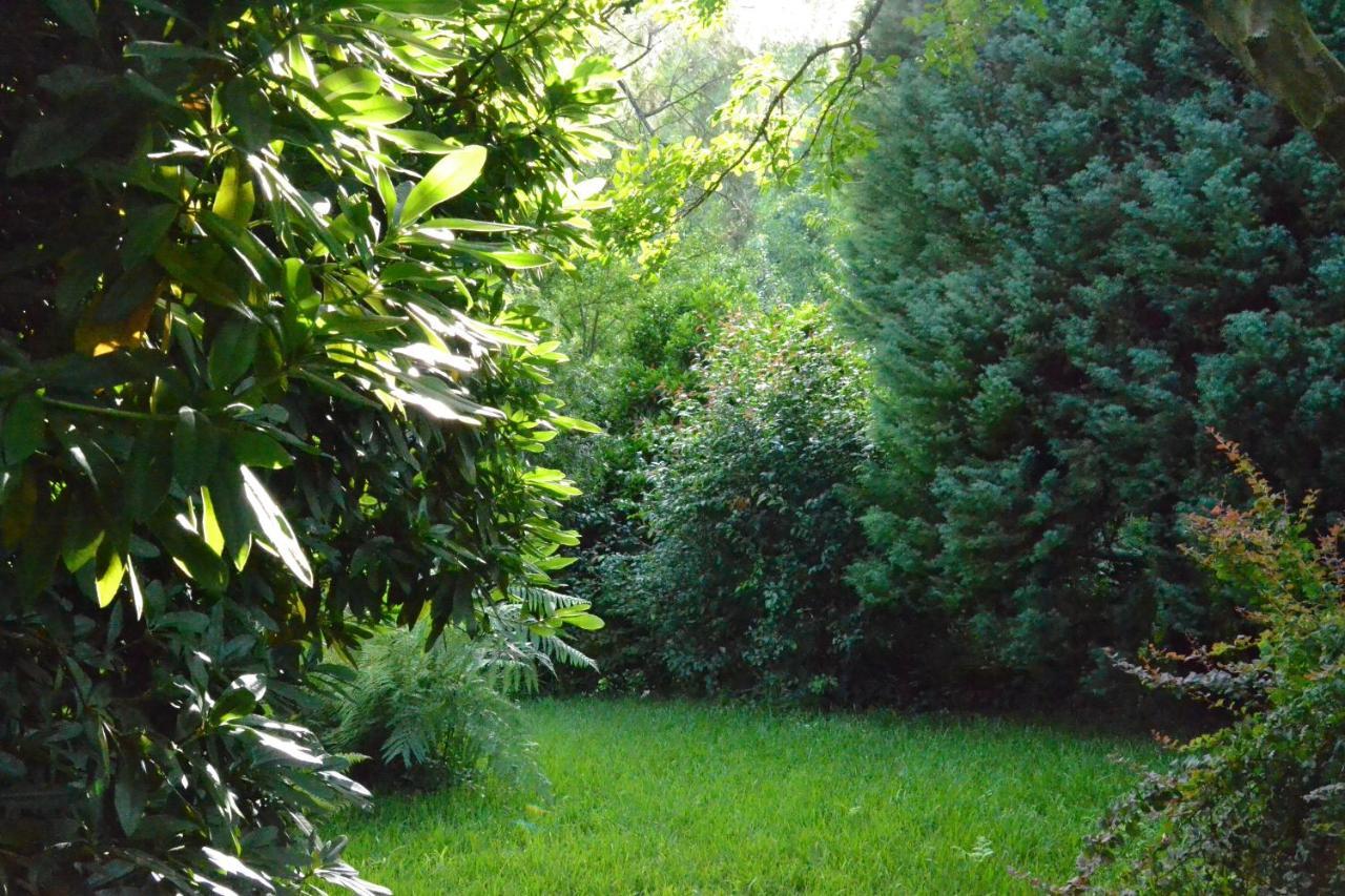 Quinta D'Avo Amelia Bed & Breakfast Alquerubim Екстериор снимка