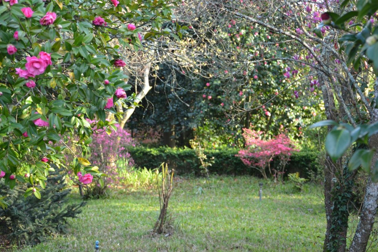 Quinta D'Avo Amelia Bed & Breakfast Alquerubim Екстериор снимка