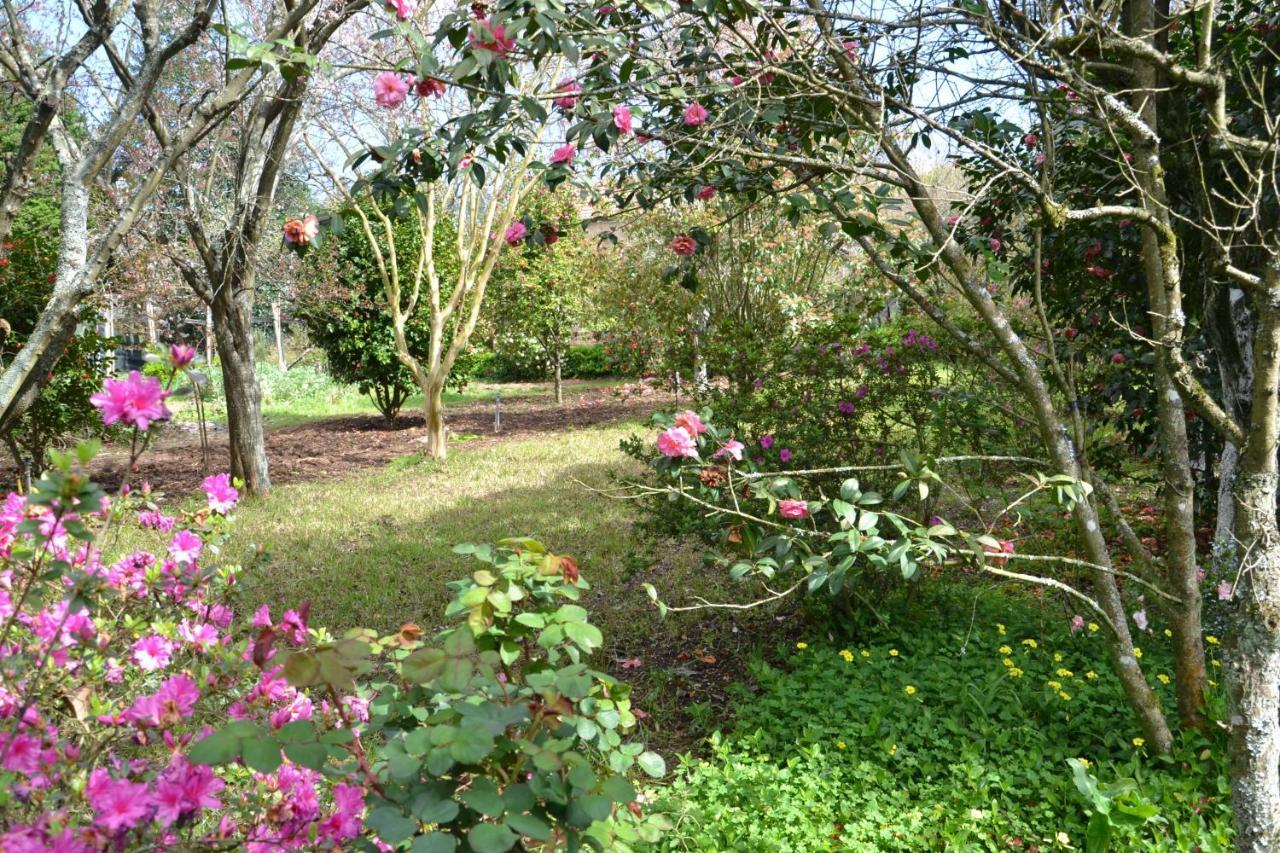 Quinta D'Avo Amelia Bed & Breakfast Alquerubim Екстериор снимка
