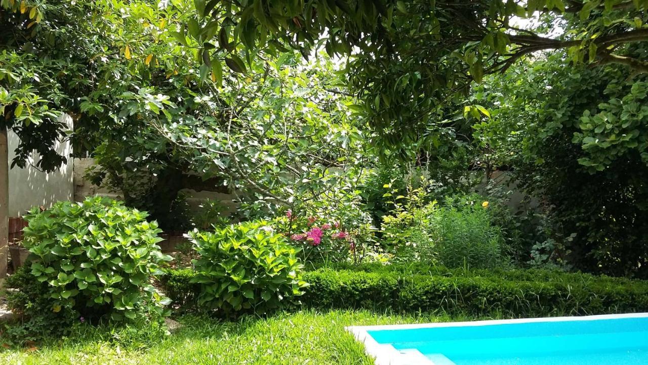 Quinta D'Avo Amelia Bed & Breakfast Alquerubim Екстериор снимка