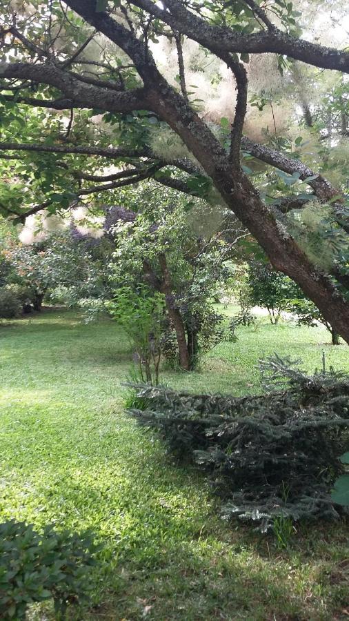 Quinta D'Avo Amelia Bed & Breakfast Alquerubim Екстериор снимка