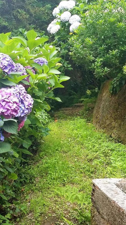 Quinta D'Avo Amelia Bed & Breakfast Alquerubim Екстериор снимка
