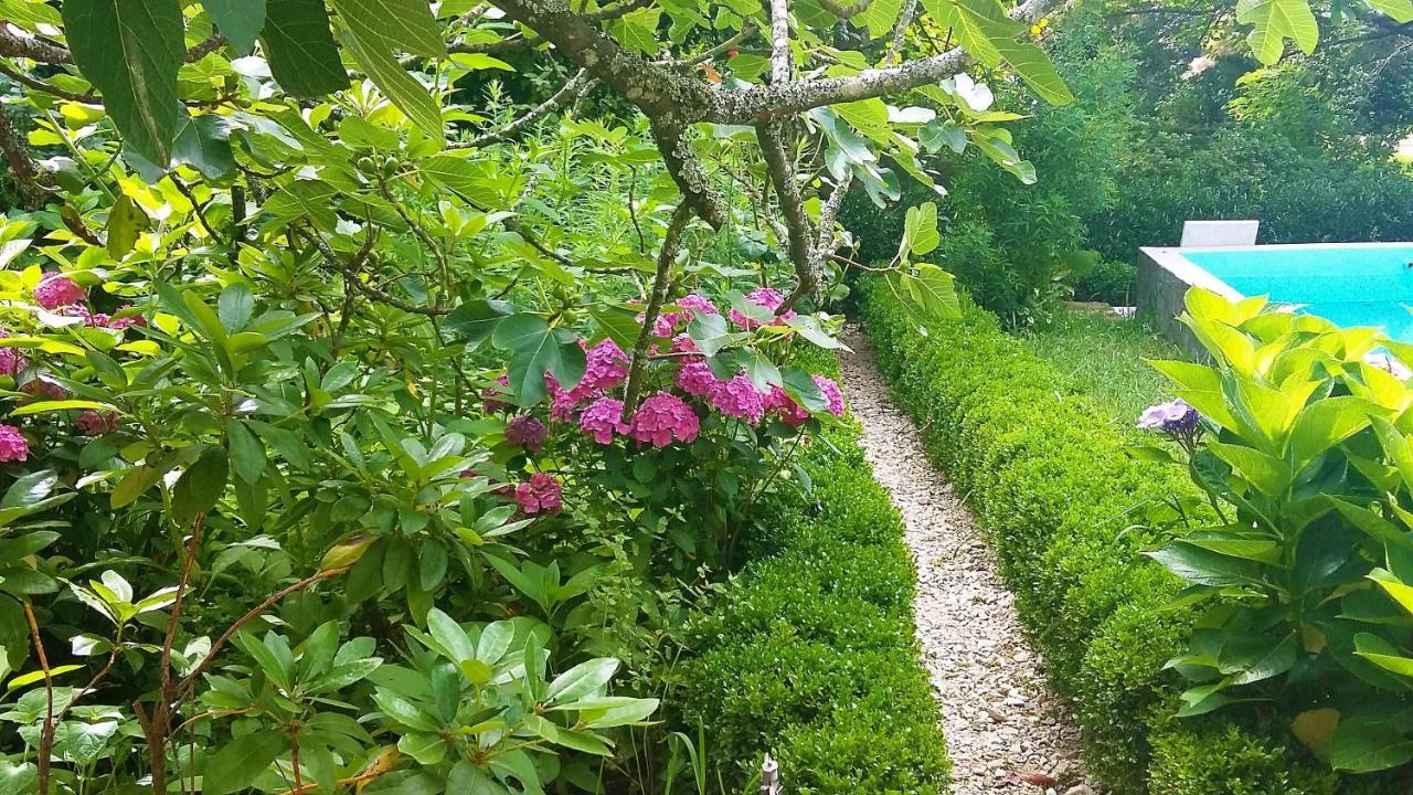 Quinta D'Avo Amelia Bed & Breakfast Alquerubim Екстериор снимка
