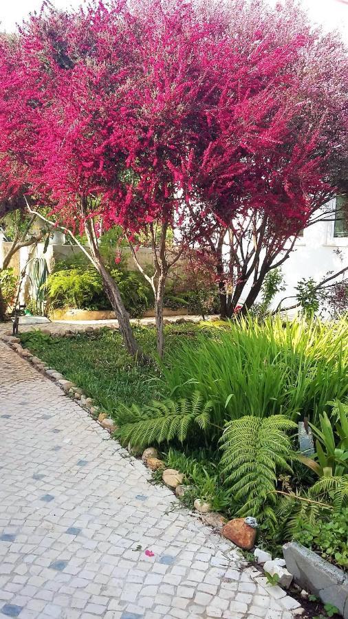 Quinta D'Avo Amelia Bed & Breakfast Alquerubim Екстериор снимка