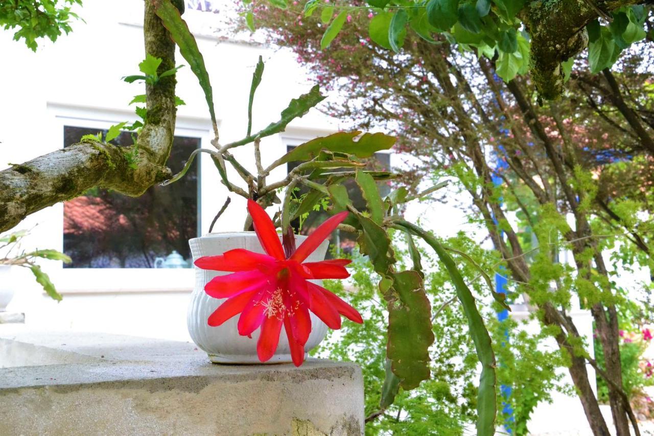 Quinta D'Avo Amelia Bed & Breakfast Alquerubim Екстериор снимка