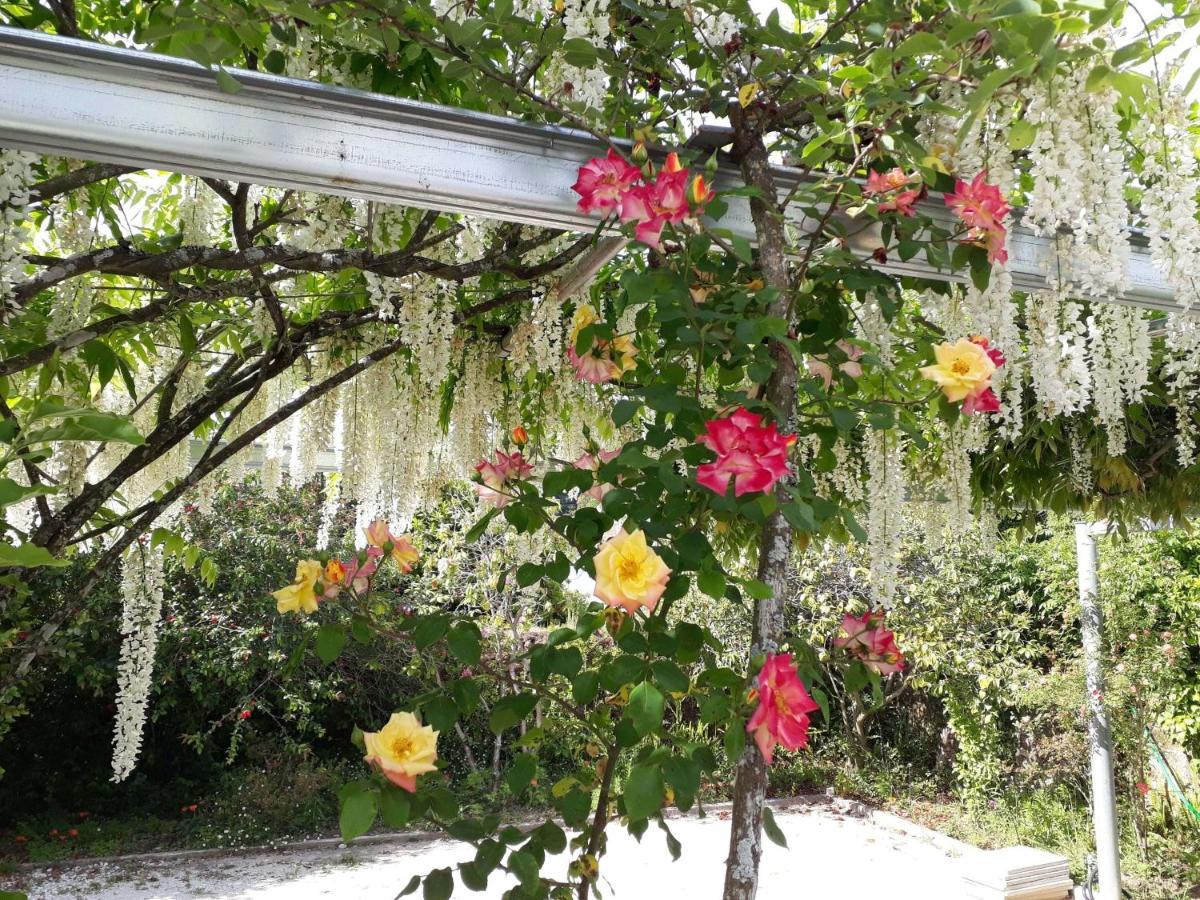 Quinta D'Avo Amelia Bed & Breakfast Alquerubim Екстериор снимка