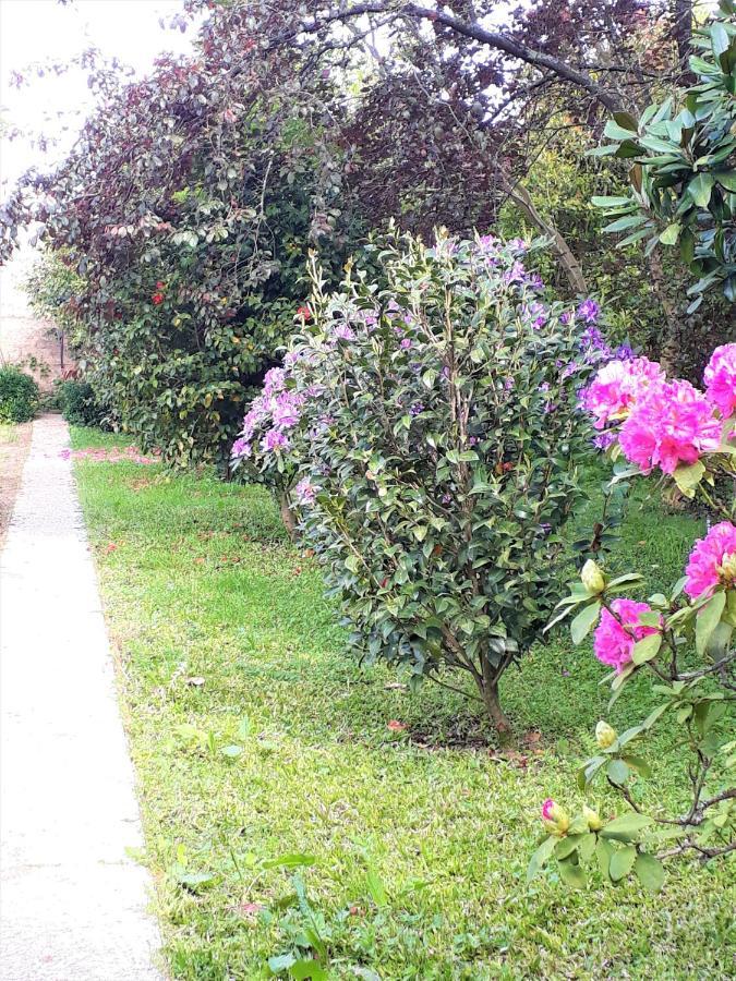 Quinta D'Avo Amelia Bed & Breakfast Alquerubim Екстериор снимка