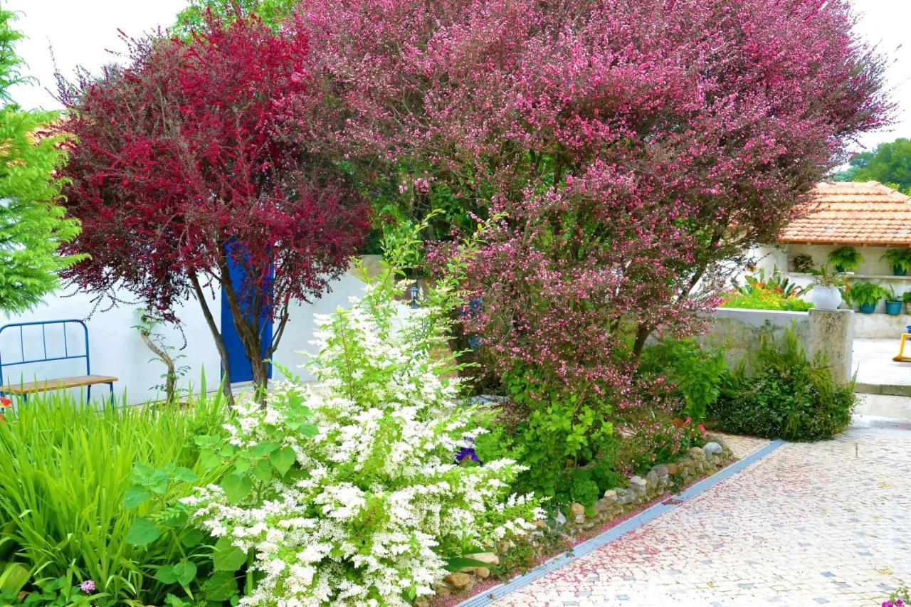 Quinta D'Avo Amelia Bed & Breakfast Alquerubim Екстериор снимка