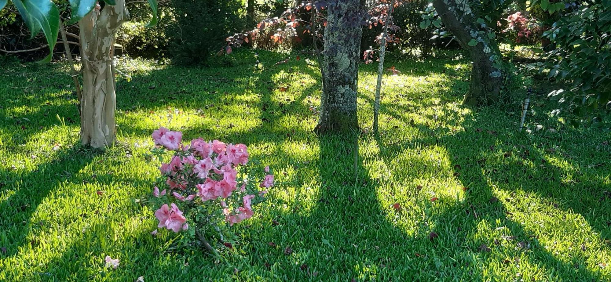 Quinta D'Avo Amelia Bed & Breakfast Alquerubim Екстериор снимка